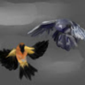 Meet your Posher, Lily